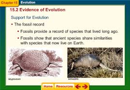 More able children are challenged with the task of having to write their own paragraph. Click On A Lesson Name To Select Chapter 15 Evolution Section 1 Darwin S Theory Of Natural Selection Section 2 Evidence Of Evolution Section 3 Shaping Ppt Download