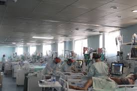 11:22 atletas do xadrez de blumenau se destacam no aberto do brasil de timbó Pqgdvwttlro2qm