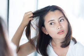 Feb 15, 2018 · haarausfall bei frauen. Haartransplantation Frauen Grunde Und Moglichkeiten Haarausfall Hilfe