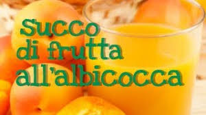 Aggiungi allo sciroppo le albicocche e il succo di limone, quindi cuoci per 10 minuti. Succo Di Frutta All Albicocca Fatto In Casa Da Benedetta Natural Homemade Apricot Juice Youtube
