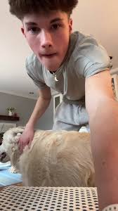 Jack MacGregor (@jackk_macgregor)'s videos with original sound