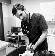 Clinique Vétérinaire d'Abondance