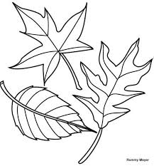 Dibujo Hoja Para Colorear