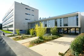 Epingle Sur Escuelas