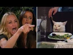 Woman Yelling At A Cat Meme Compilation V1 Youtube