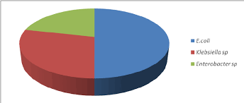 Pie Chart Showing The Frequency Wise Distribution Of