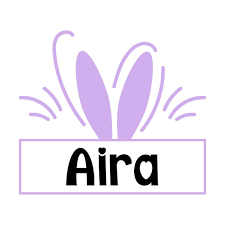 Image result for Aira