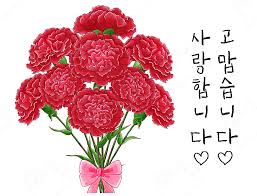카네이션 사랑합니다 고맙습니다 : Anicue - 네이버 OGQ마켓