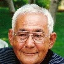 Daniel J. Murgaw, Jr. Obituary