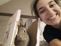 Is this ok for rabbits?