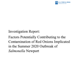 © 2021 forbes media llc. Yes It Really Was The Onions That Caused Another Salmonella Outbreak In 2020 Food Poison Journal