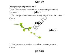 ответы на лабораторные работы по биологии 6 класс пономарева G D Z Prirodovedenie 5 Klass Pochki Tema