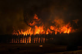 Bildergebnis für Matthew Abbott