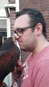 Our new Harris girl Rajah... ❤