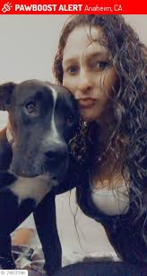 How to find a lost dog in the Kingsbury area?