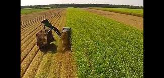 مقومات الإنتاج الزراعي موضوع