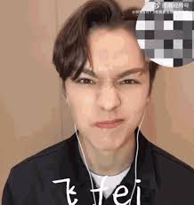 Vernon Vernon Seventeen GIF