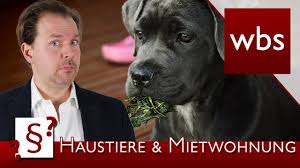 Dazu gehört beispielsweise, ob die wohnung einen balkon haben oder beispielsweise eine einbauküche mitvermietet werden soll. Mit Dem Hund Auf Immobiliensuche Sind Haustiere Erlaubt