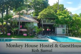Monkey House Hostel & Guest House | Bohput, Koh Samui