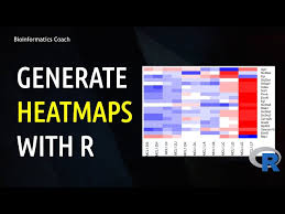 Image result for bioinformatics heatmap