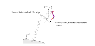Ion-Pair Reversed Phase High Performance Liquid Chromatography... |  Download Scientific Diagram
