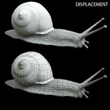 Snail 3d Model Obj Cgtrader Com Snail 3d Model Model
