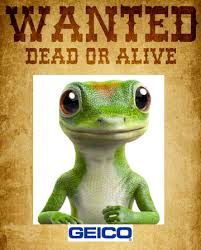 We did not find results for: Beyond Tired Of The Geico Lizard Posts Facebook