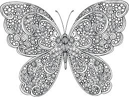 Pin Auf Schmetterling