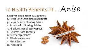 10 Health Benefits Of Anise Eating Healthy Living Fit Eathealthylivefit Com Healthy Benefits Health Benefits Herbal Cure