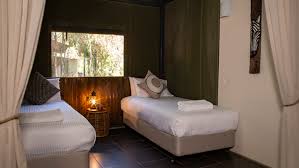 Taronga western plains zoo dubbo is still operating. Zoofari Lodge Taronga Conservation Society Australia