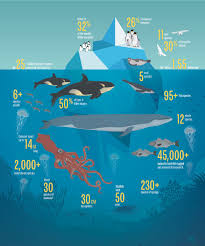 The ross sea is a deep bay of the southern ocean in antarctica, between victoria land and marie byrd land and within the ross embayment, and is the southernmost sea on earth. Antarctic Haven
