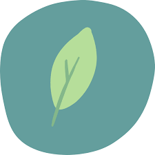 As a result of which it becomes more important for me to make you aware of some of the awesome meditation apps present for christians. Spending Time With God Through Meditation Prayer Hope App