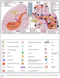 Image result for Transfusion Associated Circulatory Overload