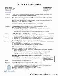 Family Law Attorney Resume Family Law Attorney Resume Sample Family Law Attorney Resume Examples Family Law Attorney Attorney At Law Family Law