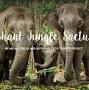 فالووربالا?lsig=AB86z5VrXOOaFQ9Ojb-DjnU-9uIG Elephant Jungle Sanctuary Phuket (Bang Tao Branch) Thalang District, Phuket, Thailand from elephantjunglesanctuary.com