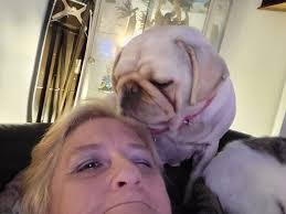 What to name a pug page ideas?