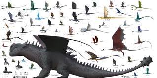A Size Chart Of All Dragons Found In School Of Dragons Oc How Train Your Dragon How To Train Your Dragon How To Train Dragon