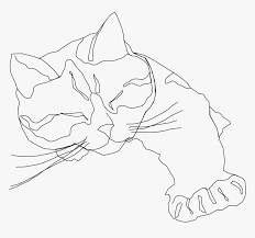 You can print or color them online at getdrawings.com for absolutely free. Coloring Page Calico Cat Hd Png Download Kindpng