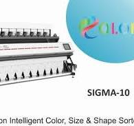 Color Sigma 10 Sesame Seed Sorter Machine, For Industrial