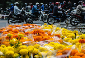 Vietnamese lunar new year or tet is the most significant festival in vietnam! New Beginnings Vietnam S Lunar New Year Fly Icarus Fly