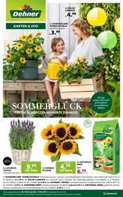 Weitere informationen über dehner gartencenter. Dehner Prospekt 09 06 2021 14 06 2021