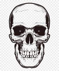 17 Angry Skull Png Png Drawing Com Skull Skull Illustration Skull Silhouette
