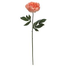 Choose from a variety of brilliant winter colors. Coral Large Peony Stem By Ashland Michaels