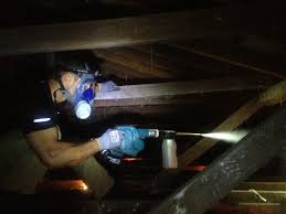 Ppi building inspectors melbourne perform building inspections and pest inspections across melbourne's north east to. Pest Control Inspection Company In Geelong Ocean Grove Surf Coast