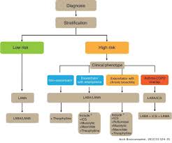 9.2 inhaler therapy for stable disease (also see appendix for colored flow chart): Spanish Copd Guidelines Gesepoc 2017 Pharmacological Treatment Of Stable Chronic Obstructive Pulmonary Disease Archivos De Bronconeumologia