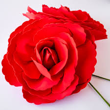We did not find results for: Giant 16 Red Tea Rose Foam Flower Backdrop Wall Decor 3d Premade 2 Pack Walmart Com Walmart Com