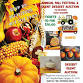 Annual Fall Festival & Silent Dessert Auction event image