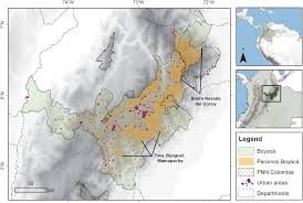 Fabiola posada, conocida en el mundo de espectáculo como la 'gorda' fabiola, la mujer que con su risa y su humor ha cautivado. Ecosystem Services Show Variable Responses To Future Climate Conditions In The Colombian Paramos Peerj