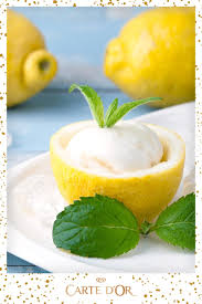 Lecon N 5 Soignez L Ecrin De Vos Desserts Glaces Recette Sorbet Sorbet Au Citron Sorbet
