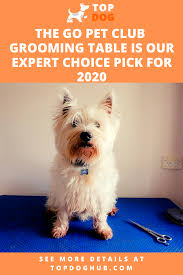 Best Dog Grooming Table In 2020 Dog Grooming Best Dogs Dog Blog